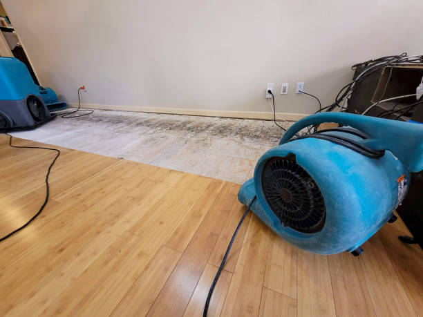 Professional Structural Drying technician working in Palmer, IA